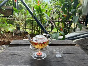Healing tea in a glass pot on a wooden table in the Son Tra Mountains, Vietnam