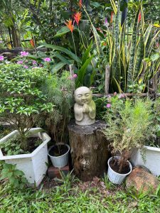 Lush garden with a Buddha statue, tea place, Vietnam